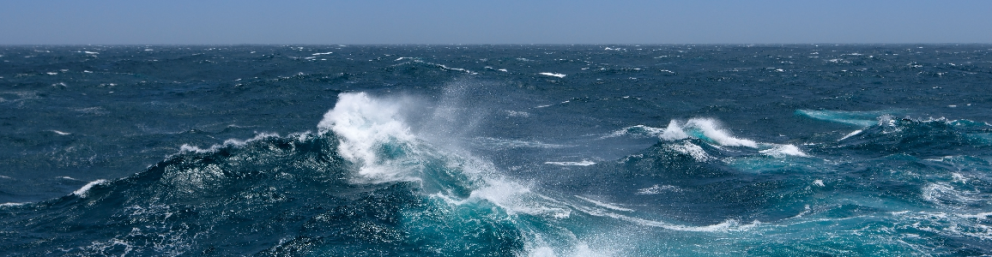 Club des Sciences Po de la Mer