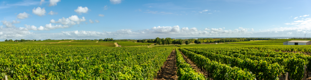 Nouvelle-Aquitaine