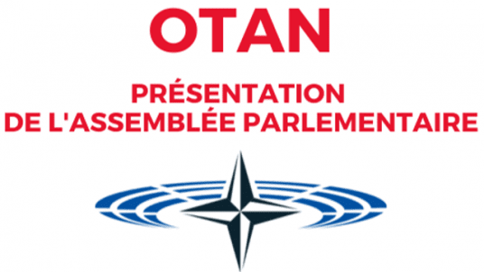 Réunion d'information - Découvrez les missions de l'Assemblée Parlementaire de l'OTAN