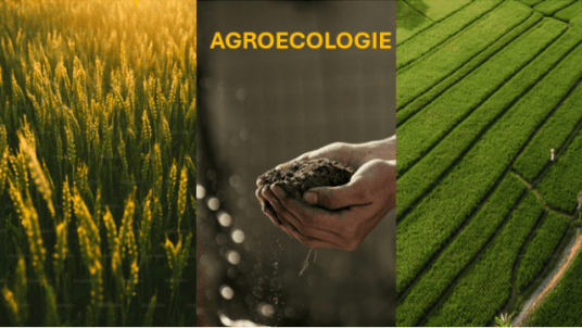 Conférence débat sur l’agroécologie