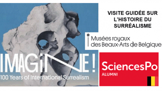 Bruxelles: Visite de l'exposition IMAGINE! sur l'histoire du surréalisme 