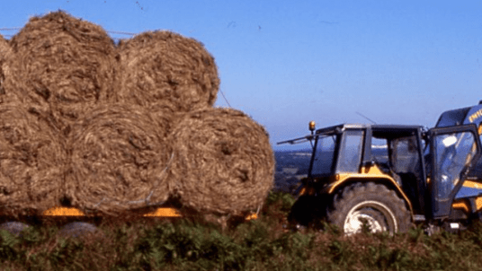 Landes de Bretagne, un patrimoine vivant