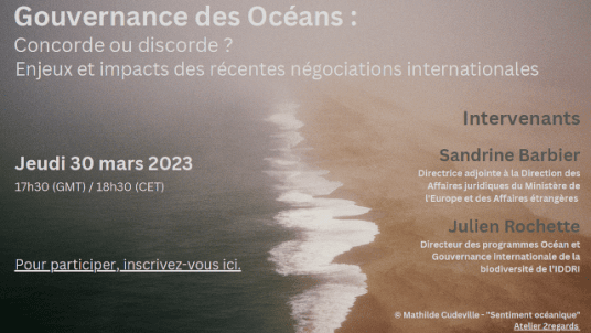 Gouvernance des Océans : concorde ou discorde ? Enjeux et impacts des récentes négociations internationales
