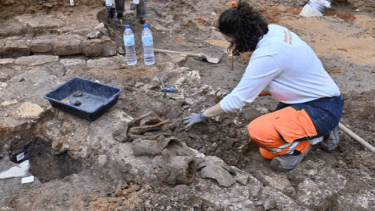 « Au fil de la truelle. L'archéologie sous le regard de documentaristes »