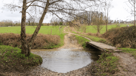 Entre l’Orge et la Renarde