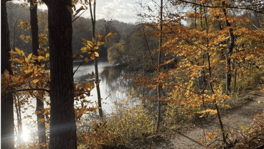 De Viroflay à Bellevue, entre dolmen, clairière et route forestière